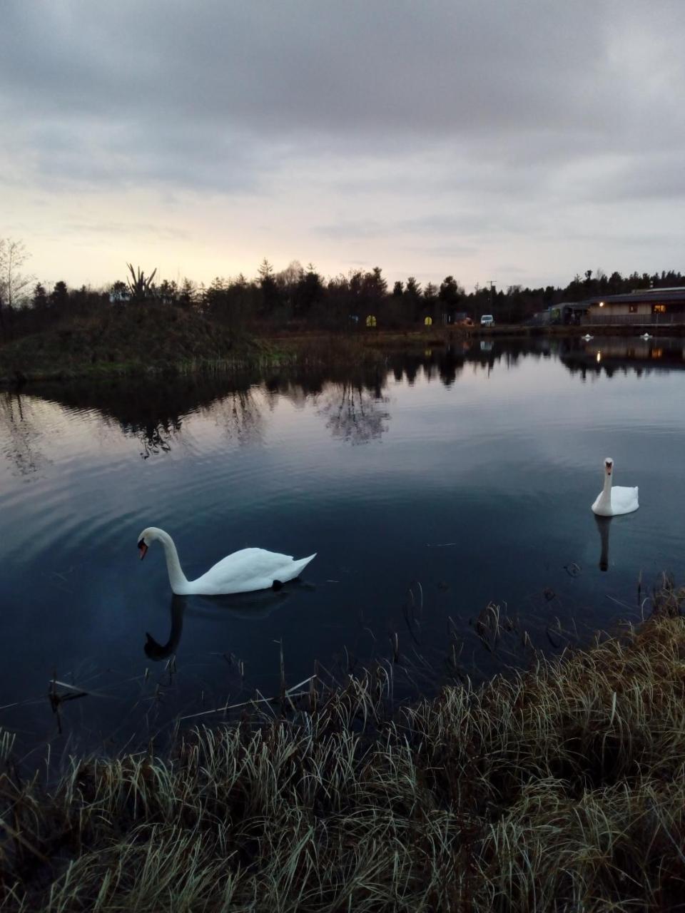 Inny River Lodge Rathowen 외부 사진